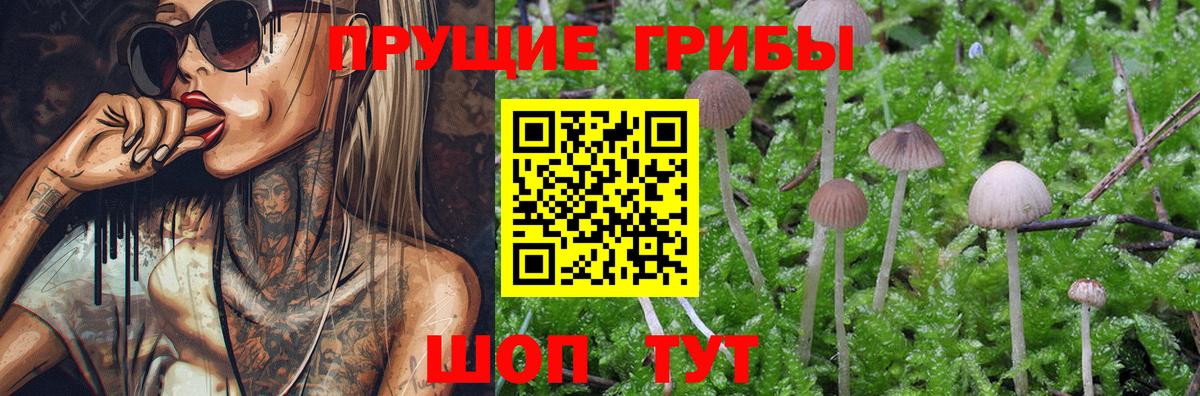 Галлюциногенные грибы мухоморы Краснодар