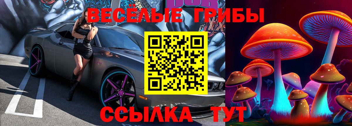 Краснодар  Галлюциногенные грибы мухоморы  Вход с VPN 